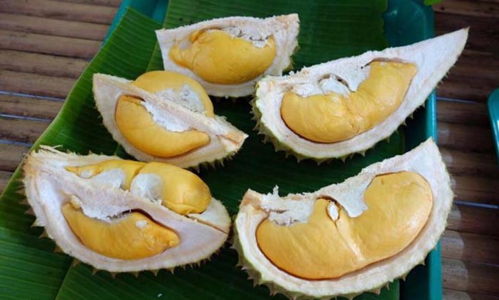 10 สวนบุฟเฟ่ต์ทุเรียนระยอง-จันทบุรี ฟินกันได้ทุกวันแบบไม่จำกัด!!!
