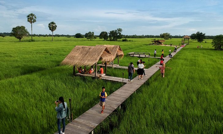 มานาเด้อ คาเฟ่กลางทุ่งนาแห่งภาคอีสาน จ.อุบลราชธานี