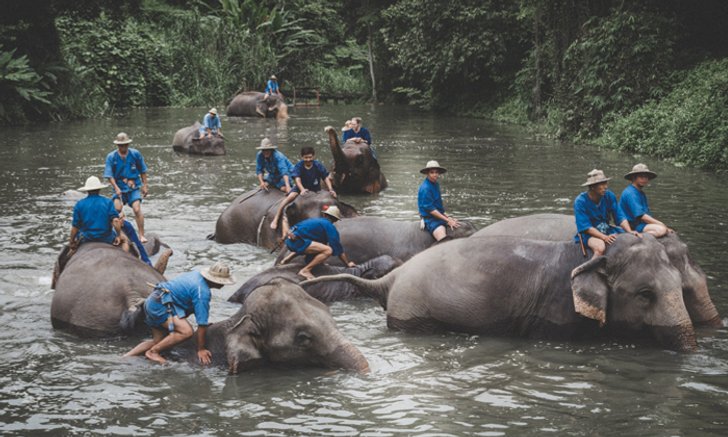 วิถีแห่งควาญช้าง ณ ศูนย์อนุรักษ์ช้างไทย เรียนรู้วิถีชีวิตที่ผูกพันของคนกับช้าง