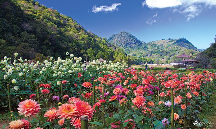 4 ที่เที่ยวเชียงใหม่แบบคูลๆ สัมผัสกับความชุ่มฉ่ำแห่งเมืองเหนือ