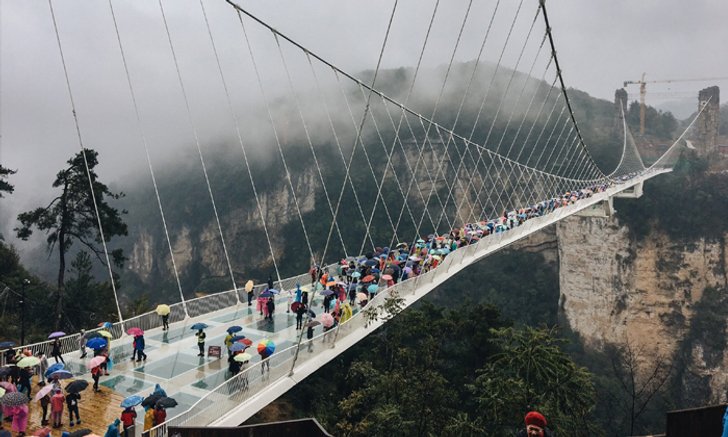 พิชิตสะพานแก้วสูงที่สุดในโลกแห่งจางเจียเจี้ย พิสูจน์ความกล้าของนักเดินทาง!
