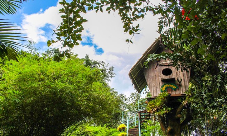 สวนนายดำ บุกอาณาจักรแห่งส้วมที่แปลกและเยอะที่สุดในประเทศไทย!