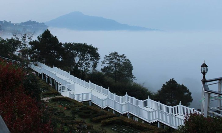 Vin view English rose garden Resort พักผ่อนในสวนสไตล์อังกฤษขนาบข้างทะเลหมอก