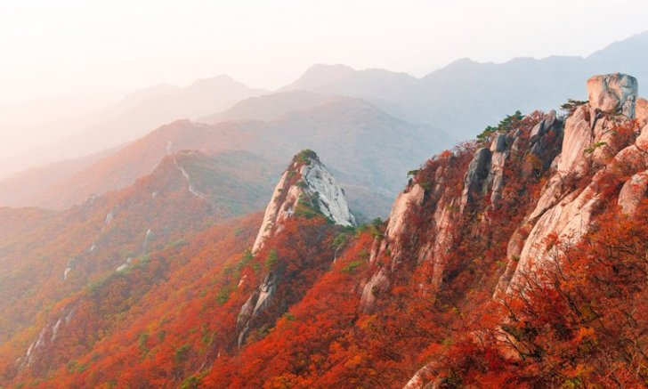 เที่ยว ซอรัคซาน ใบไม้เปลี่ยนสี ตามหาใบไม้แดงที่เกาหลี