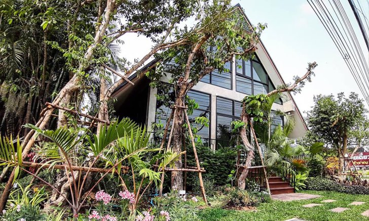YouYen Garden Cafe (อยู่เย็น) คาเฟ่เปิดใหม่เอาใจคนชอบความเขียว