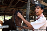 อาจารย์ชูชาติ  วารปรีดี ครูนอกคอก แห่งรายการคนค้นคน สาธิตวิธีการเลี้ยงม้าพันธุ์พื้นบ้าน