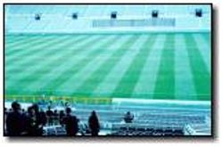 เยือนเกาหลีใต้ (โสมขาว)ดินแดนอารีดังสัมผัสลิ่นไอสนามฟุตบอลโลก  ก่อนเปิดการข่งขันจริง