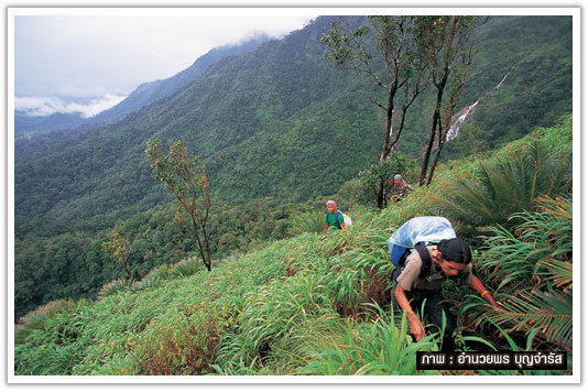 สันดอยสามหมื่น น้ำตกสูงสุดเมืองไทย “ปริตุ๊โกร ทีลอชู!”