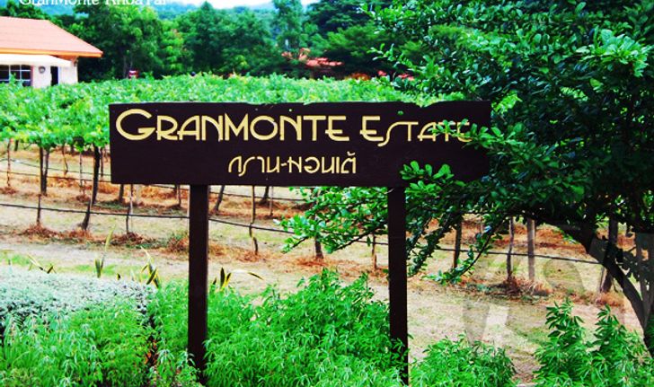 เปิดไร่องุ่นกรานต์มอนเต้ (Granmonte') กับ นิคกี้-วิสุตา โลหิตนาวี