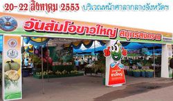 เทศกาลส้มโอขาวใหญ่สมุทรสงคราม ปี 2553