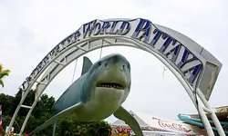 อันเดอร์ วอเตอร์ เวิลด์ พัทยา (Underwater World Pattaya)