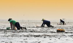 ล่องเรือชมธรรมชาติ ณ ศูนย์อนุรักษ์ป่าชายเลน คลองโคน จ.สมุทรสงคราม