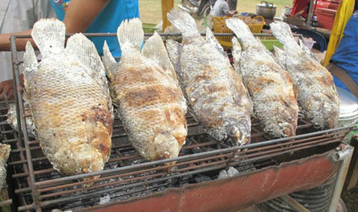 เทศกาลกินปลา พาเที่ยว แก่งกระจาน  ครั้งที่ 9