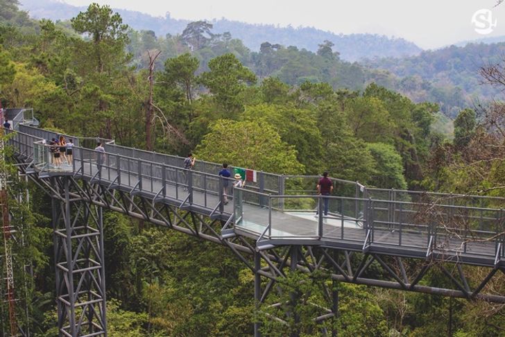 Canopy Walks สวนพฤกษศาสตร์