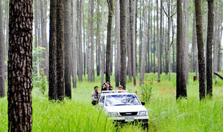 ชมธรรมชาติเขียวขจี ทุ่งแสลงหลวง จ.พิษณุโลก