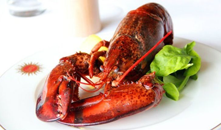ลูเช่ท้าชิมกุ้งล็อบสเตอร์ตัวโต ทานได้ไม่จำกัด  กับโปรโมชั่น Lobster  Love Affair
