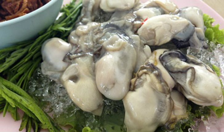 เทศกาลกินหอย ดูนก ตกหมึก ประจำปี 2556