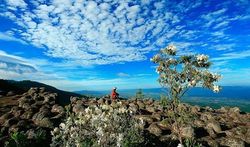 ภูหินร่องกล้า สมรภูมิประวัติศาสตร์และธรรมชาติที่แสนอัศจรรย์