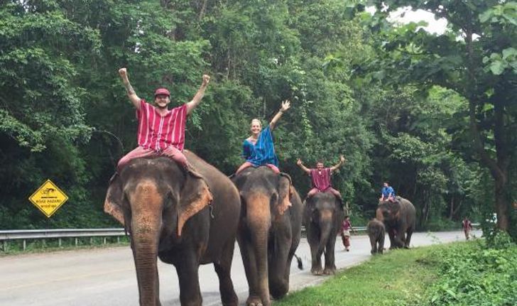 ฟาร์มช้างภัทร Patara Elephant Farm