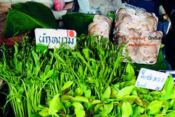 หิ้วตระกร้า ช้อปของพื้นถิ่นที่ตลาดหนองชะอม