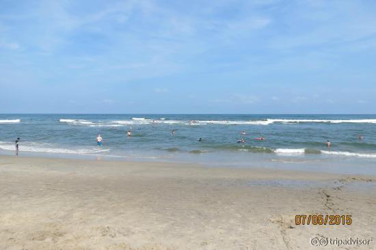 Assateague Beach