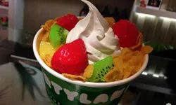 Partyland Frozen Yogurt อาณาจักรของความอร่อย