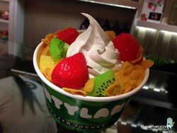 Partyland Frozen Yogurt อาณาจักรของความอร่อย