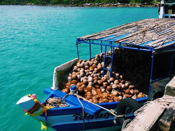 ท่าเรือเกาะกูด