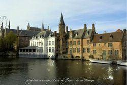 Spring Time in Europe : Land of Flowers ตอน Brugge , Belgium