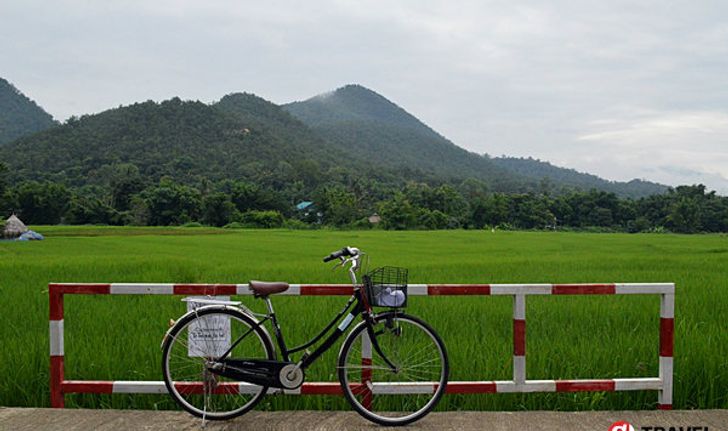 ขี่จักรยาน..หน้าฝน..กลางทุ่งนา หลงเสน่ห์ "เมืองปาย" แบบไม่รู้ตัว