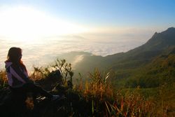 "ดอยผาตั้ง" จุดชมวิวไทย-ลาว ชมทะเลหมอกได้ทั้งปี