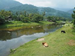 ยลเสน่ห์ "คีรีวง" หมู่บ้านกลางหุบเขา จังหวัดนครศรีธรรมราช