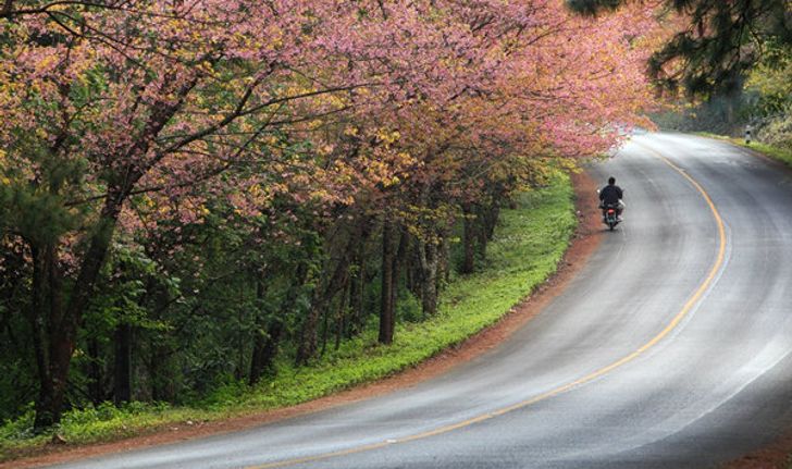 รวมมิตรที่เที่ยว..หนาวจับใจใน "เชียงใหม่" สำหรับหนาวนี้