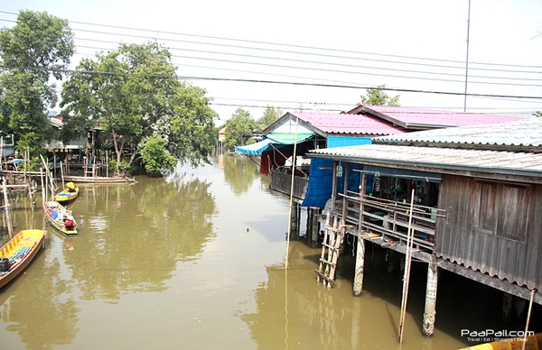 ปูไข่ ร้านอาหารคลองโคน