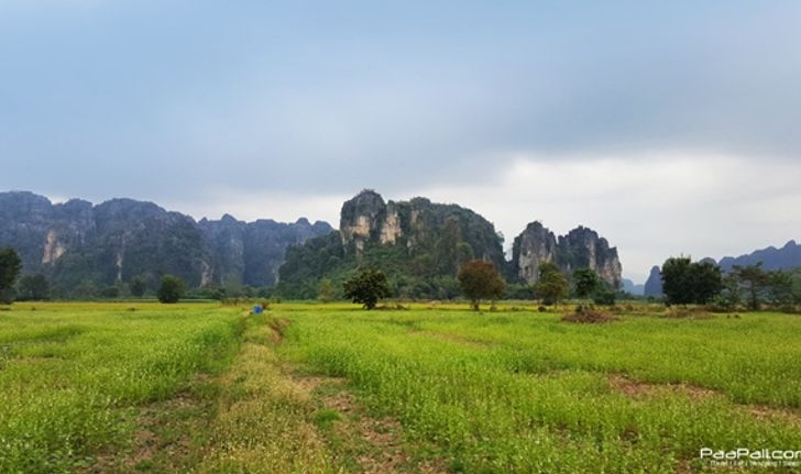 เที่ยว 'เนินมะปราง' ชมทุ่งนากลางหุบเขา สูดกลิ่นธรรมชาติ