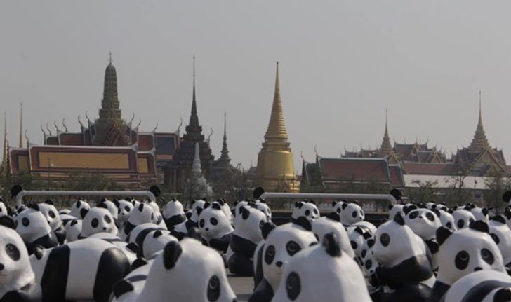 ประมวลภาพกองทัพแพนด้า '1600 Pandas+ World Tour in Thailand'
