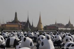 ประมวลภาพกองทัพแพนด้า '1600 Pandas+ World Tour in Thailand'