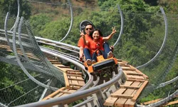 อย่างเจ๋ง! 'จังเกิ้ล คอสเตอร์' (Jungle Coaster) รถไฟรางไม้แห่งแรกในไทย จ.เชียงใหม่