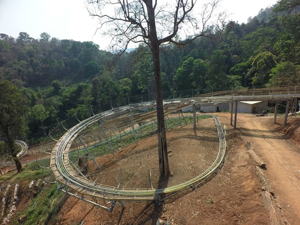 จังเกิ้ล คอสเตอร์ (Jungle Coaster)