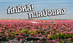 ล่องเรือหนองหาน...ชมดอกบัวบานตอนเช้า ณ กุมภวาปี