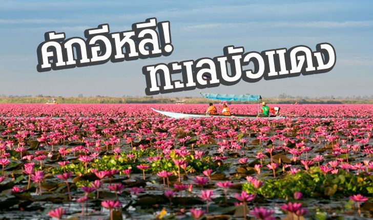 ล่องเรือหนองหาน...ชมดอกบัวบานตอนเช้า ณ กุมภวาปี