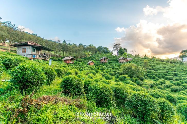 ที่พักบ้านสะจุก – สะเกี้ยง