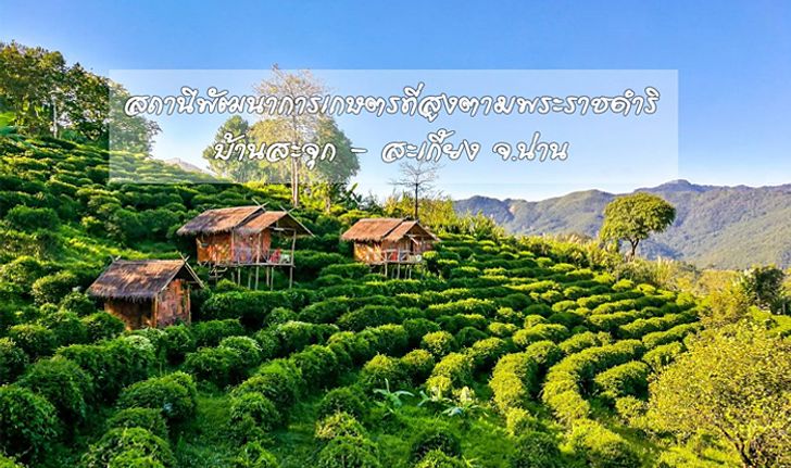 วิวหลักล้าน!!! “สถานีพัฒนาการเกษตรที่สูงตามพระราชดำริ บ้านสะจุก – สะเกี้ยง” จ.น่าน