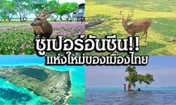 กลางทะเลมีกวาง!!! พาชมอันซีนไทยแลนด์เกาะกระดาดซาฟารีกลางทะเล แห่งจังหวัดตราด