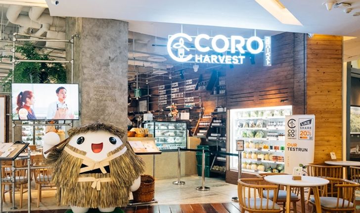 เปิดแล้ว! CORO Harvest ร้านอาหารจากฟาร์ม CORO Field ที่เสิร์ฟผักผลไม้ที่สดที่สุดในกรุงเทพฯ