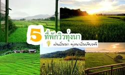 ฝนเริ่มมา ทุ่งนาเขียวขจี ไปสัมผัสบรรยากาศดีๆกับ 5 ที่พักวิวทุ่งนา