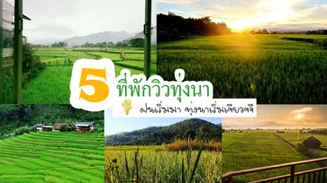 ฝนเริ่มมา ทุ่งนาเขียวขจี ไปสัมผัสบรรยากาศดีๆกับ 5 ที่พักวิวทุ่งนา