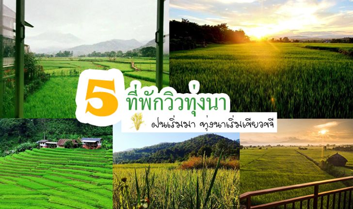 ฝนเริ่มมา ทุ่งนาเขียวขจี ไปสัมผัสบรรยากาศดีๆกับ 5 ที่พักวิวทุ่งนา