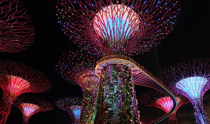 6 กิจกรรม “0” เหรียญ ไม่เสียเงินใน Gardens by the Bay – สิงคโปร์