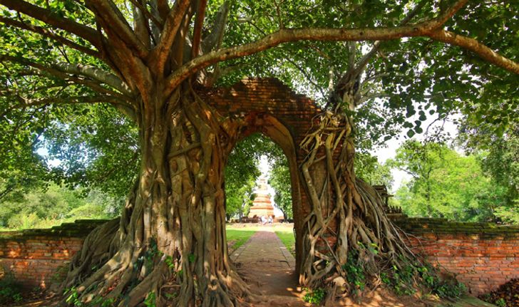 แลนด์มาร์กแห่งใหม่ของอยุธยาวัดพระงาม "ประตูแห่งกาลเวลา"